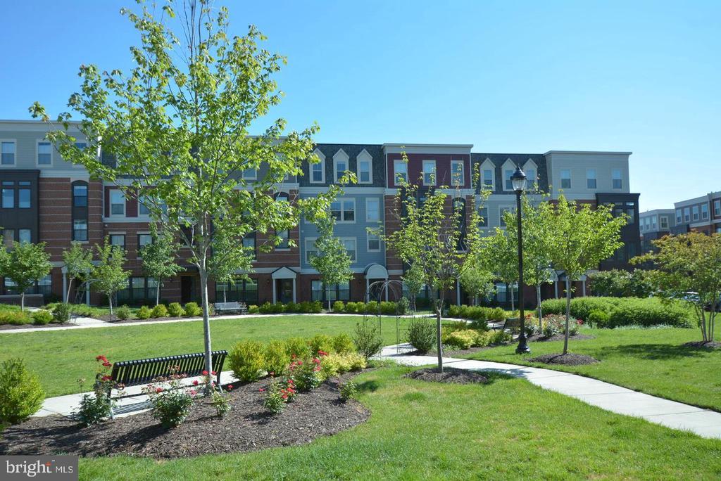 3989 NORTON PLACE Unit: 104