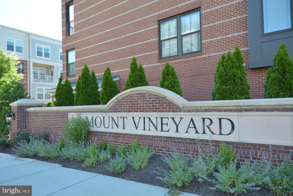 3989 NORTON PLACE Unit: 104