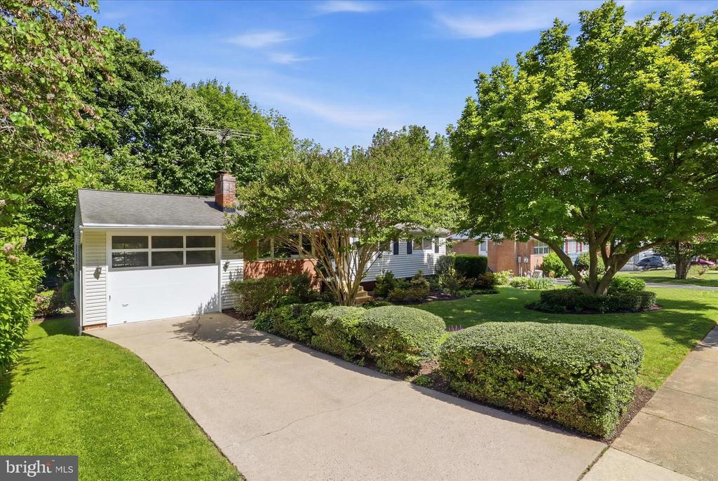 2026 DEXTER DRIVE