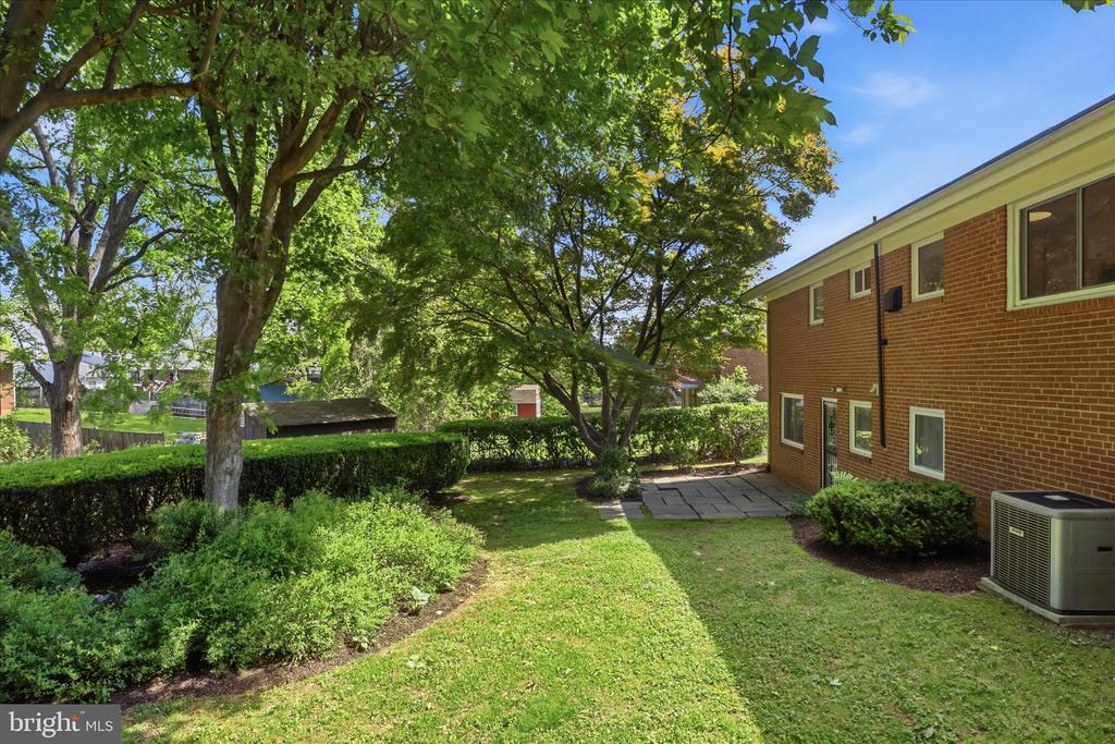 2026 DEXTER DRIVE