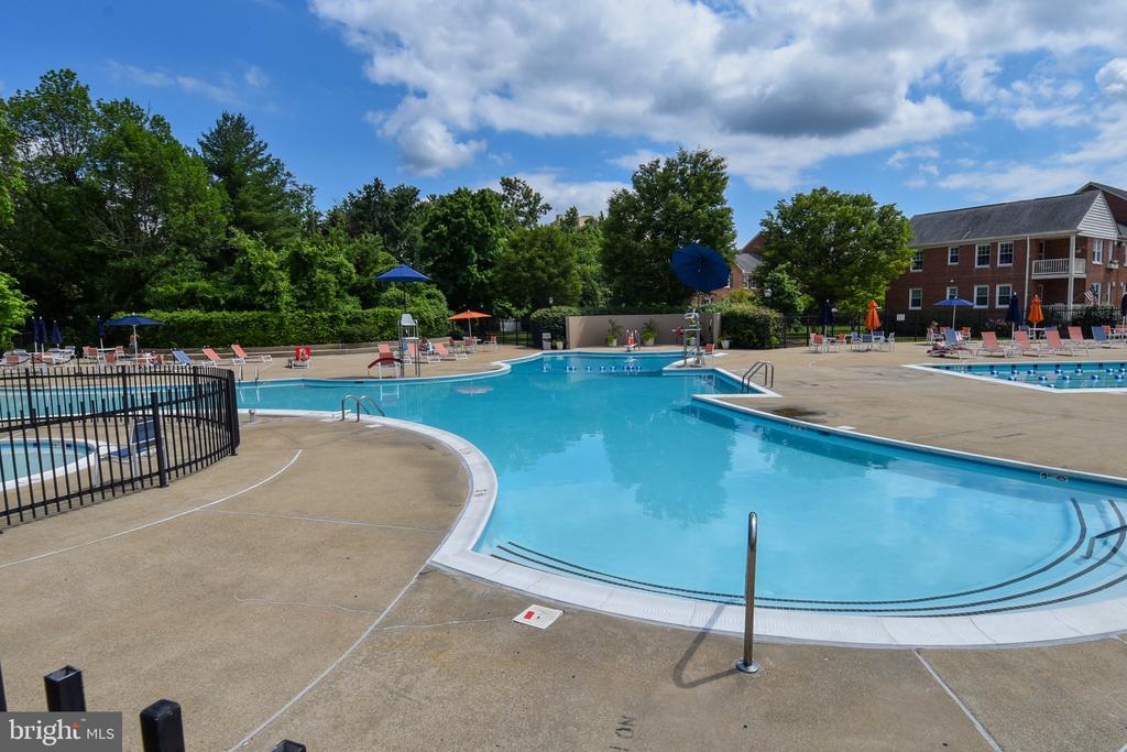 Outdoor swimming pool with a curved deck, lounge chairs, and umbrellas.