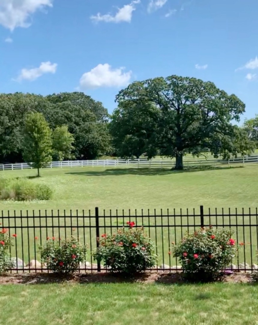 37230 N Black Velvet Lane