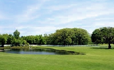 37230 N Black Velvet Lane