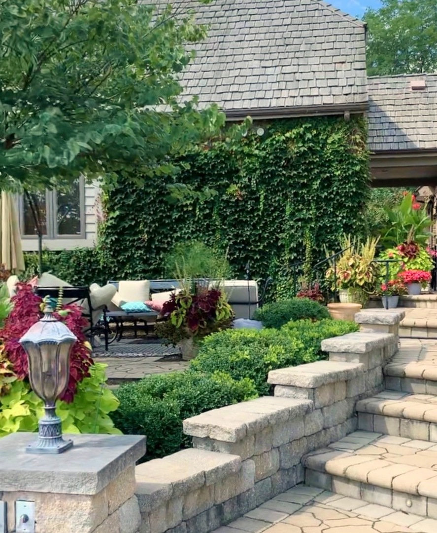 37230 N Black Velvet Lane