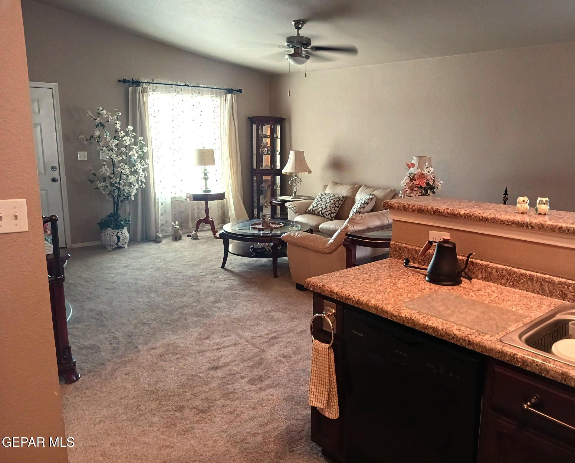 10729 SILVERCLOUD Drive