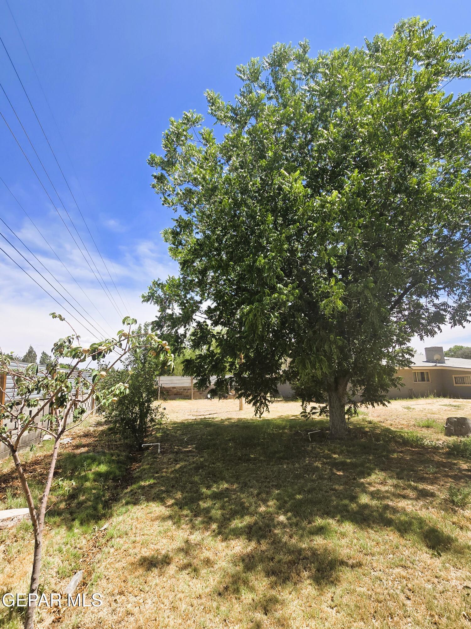 1400 SAN ANDRES Drive
