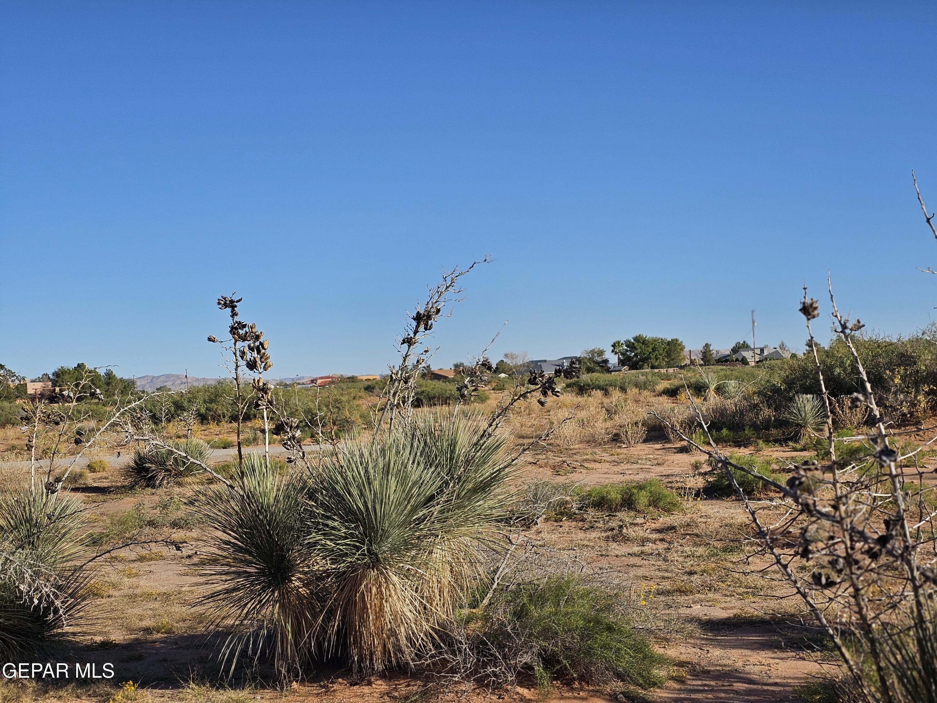 14001 WAGON TRAIL Drive