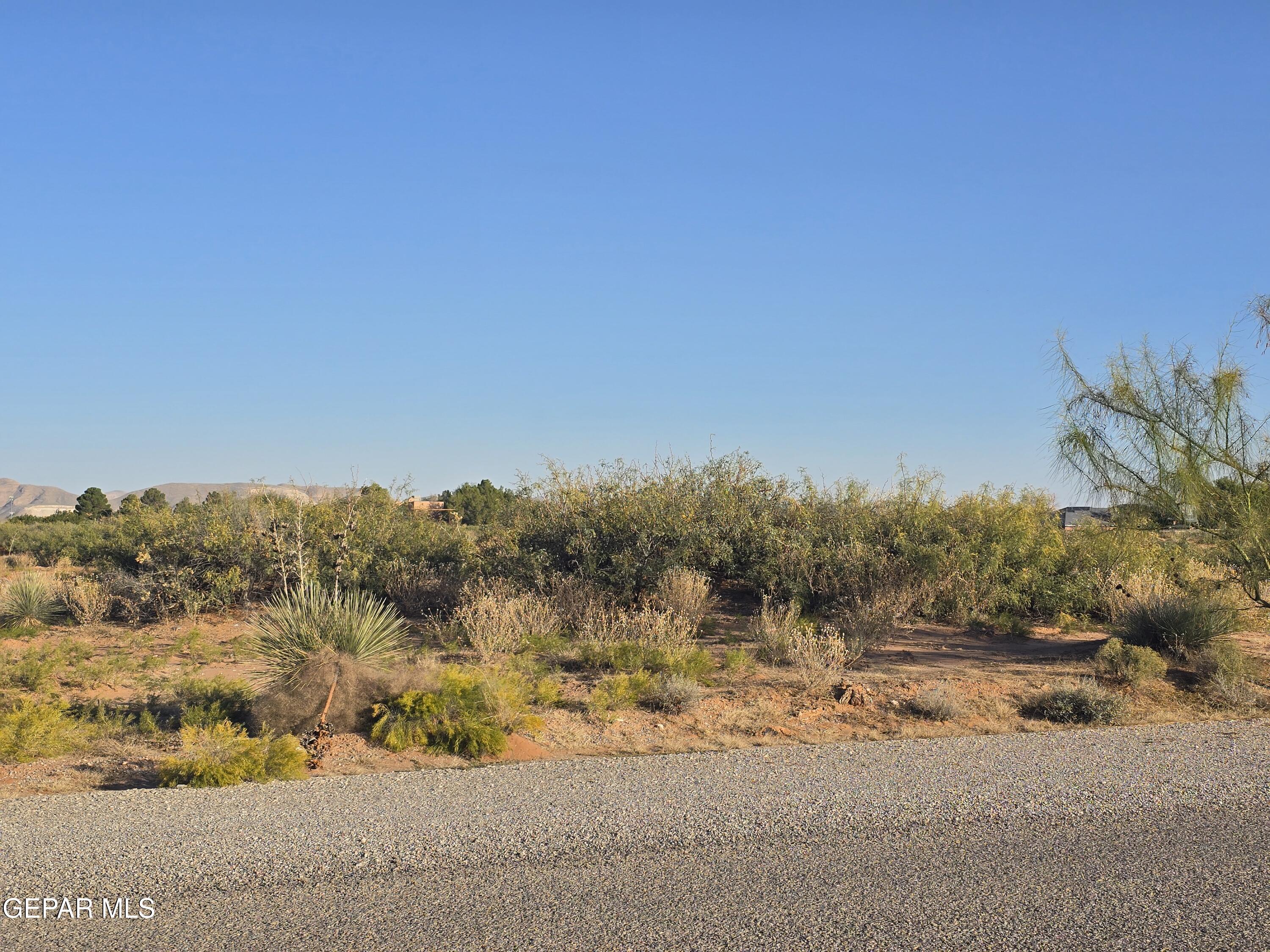 14001 WAGON TRAIL Drive