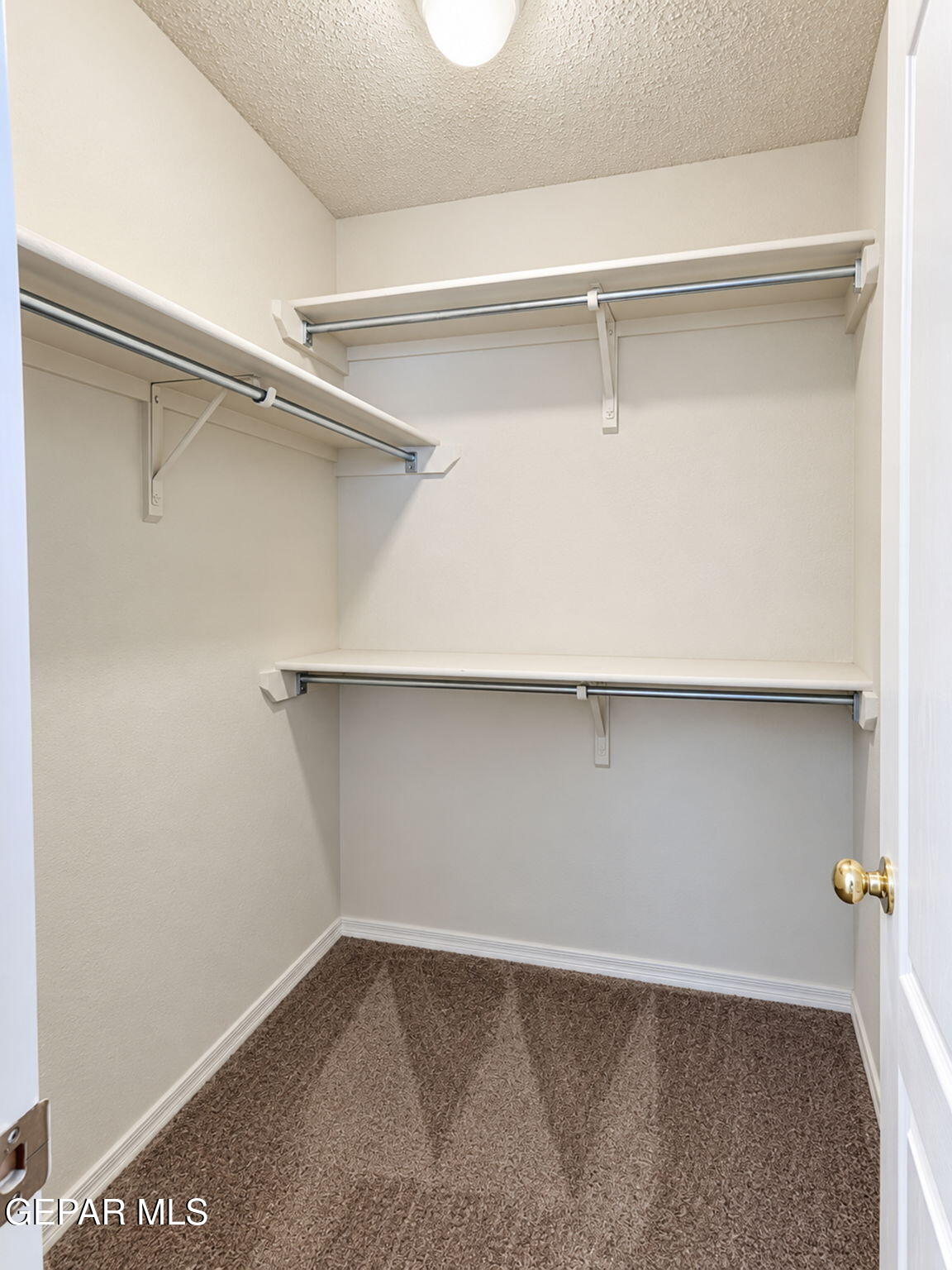 Empty walk-in closet with carpeted floor, wraparound shelves, and hanging rods.