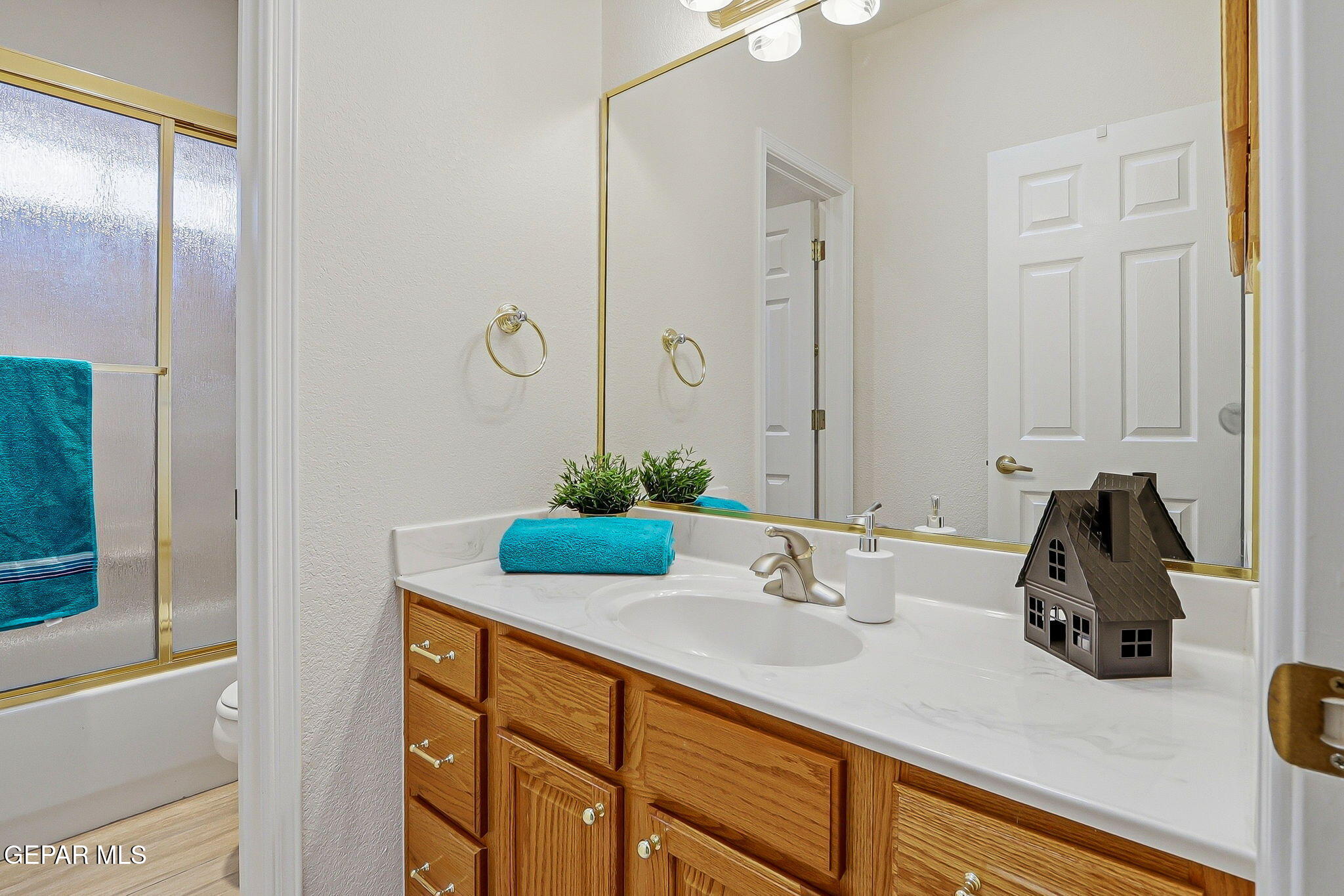 Bathroom with a wood vanity, wide mirrored counter, and frosted-glass shower with gold trim.