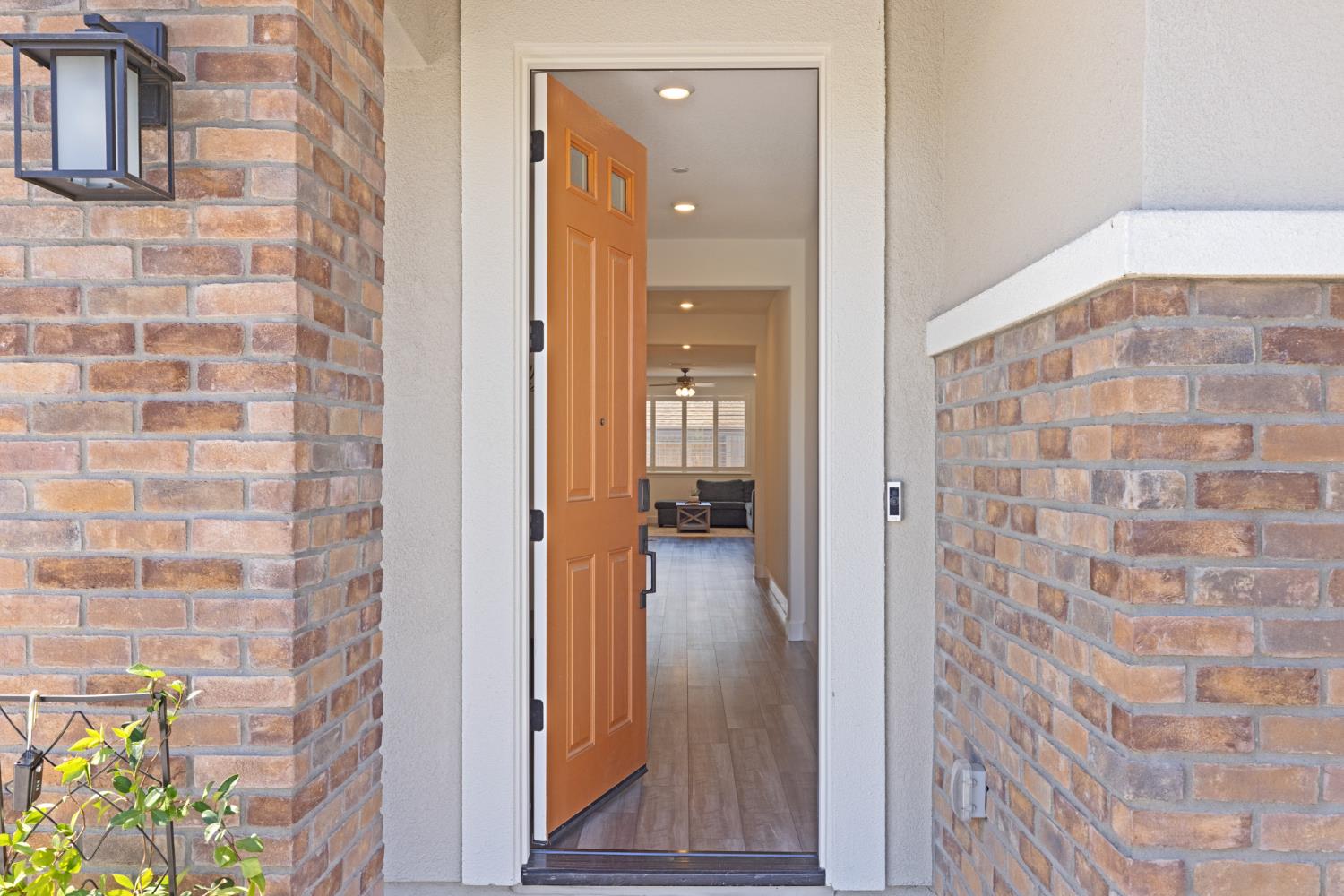 1117 Amelia Way