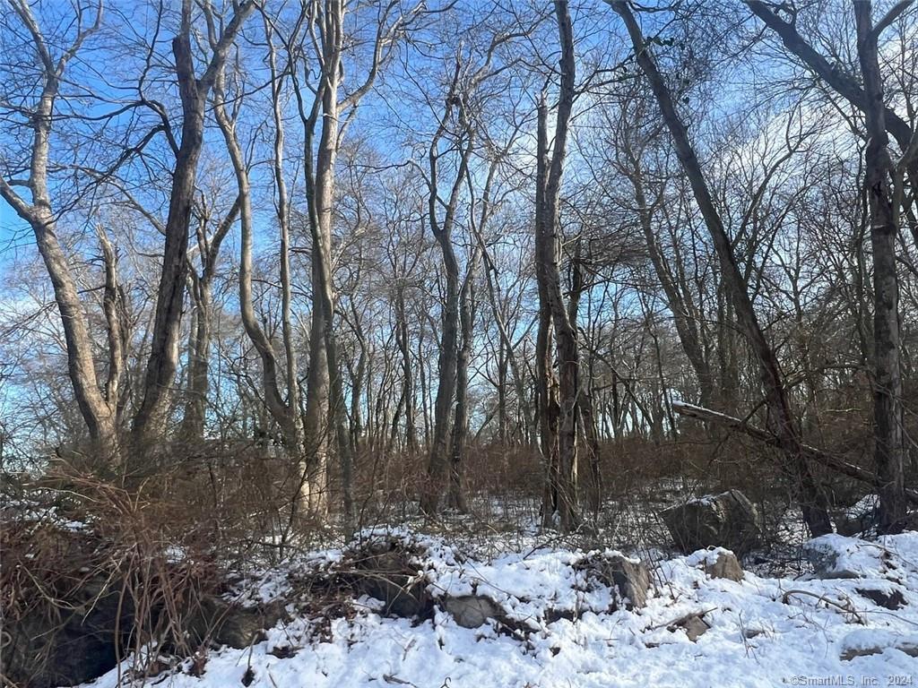 0 Osprey Lane