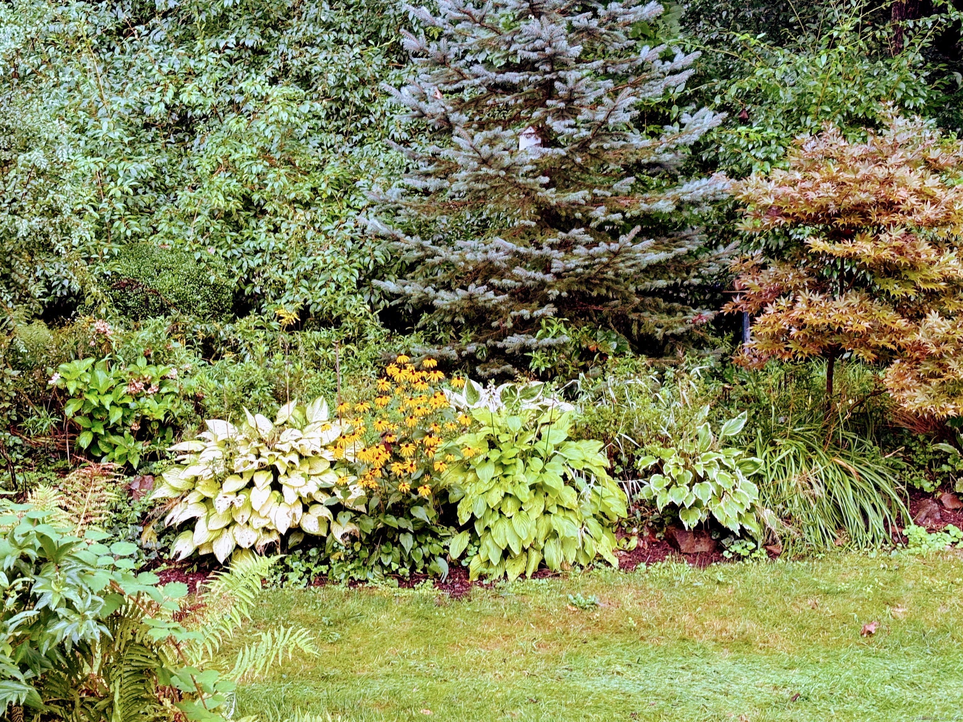 337 Heritage Village B