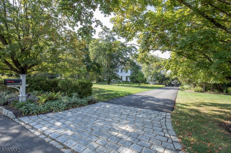4 Sugar Maple Row