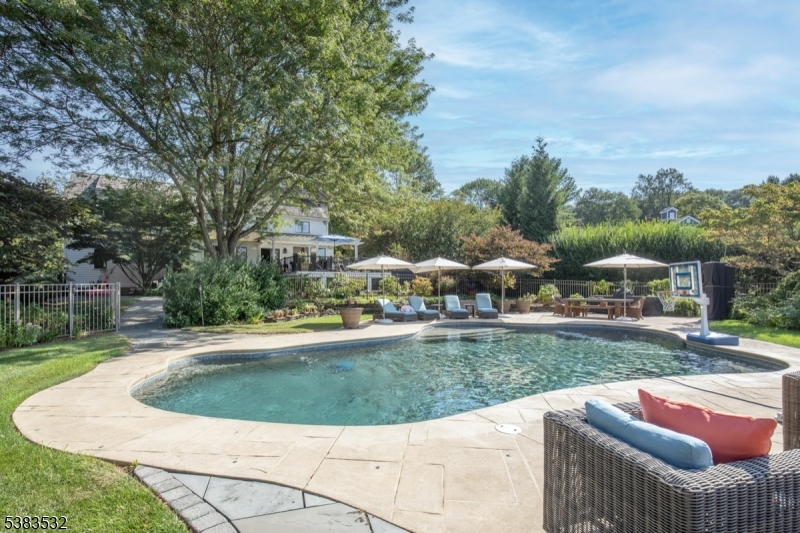 4 Sugar Maple Row