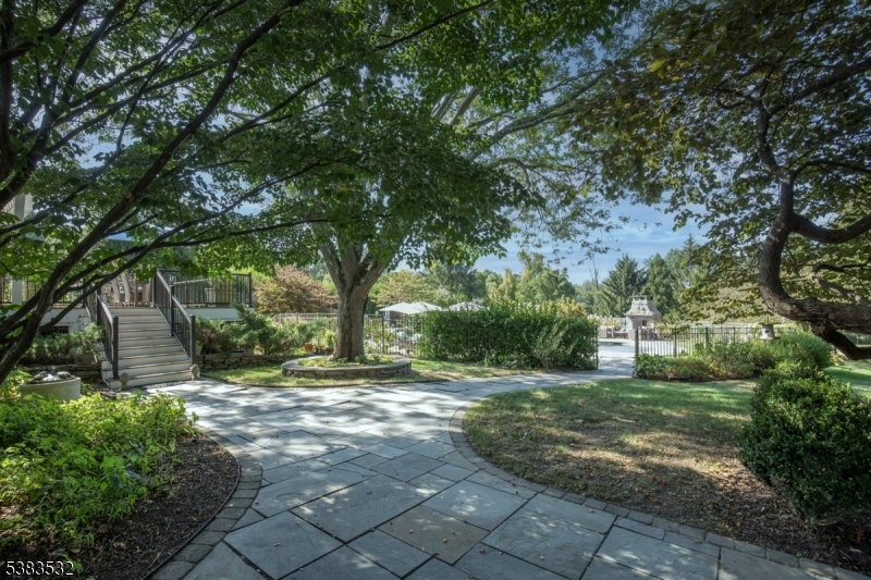 4 Sugar Maple Row