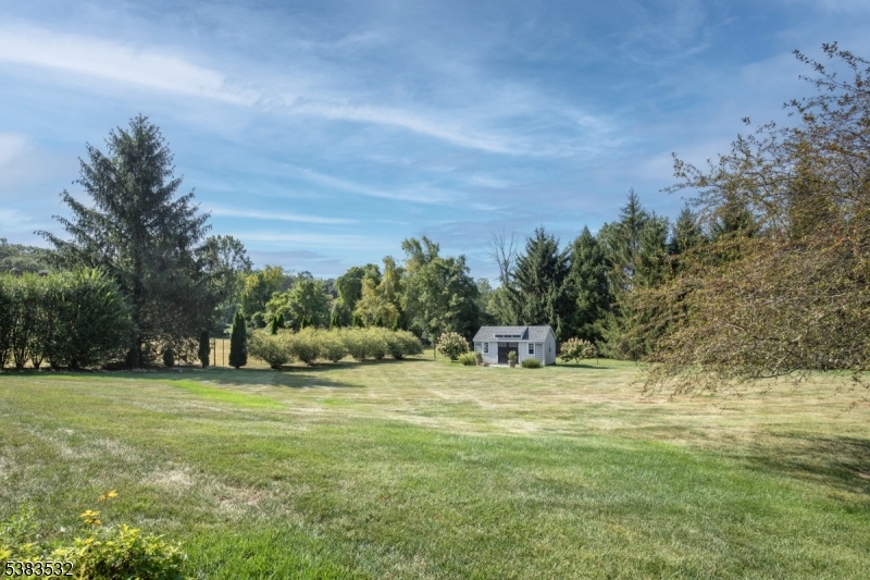 4 Sugar Maple Row