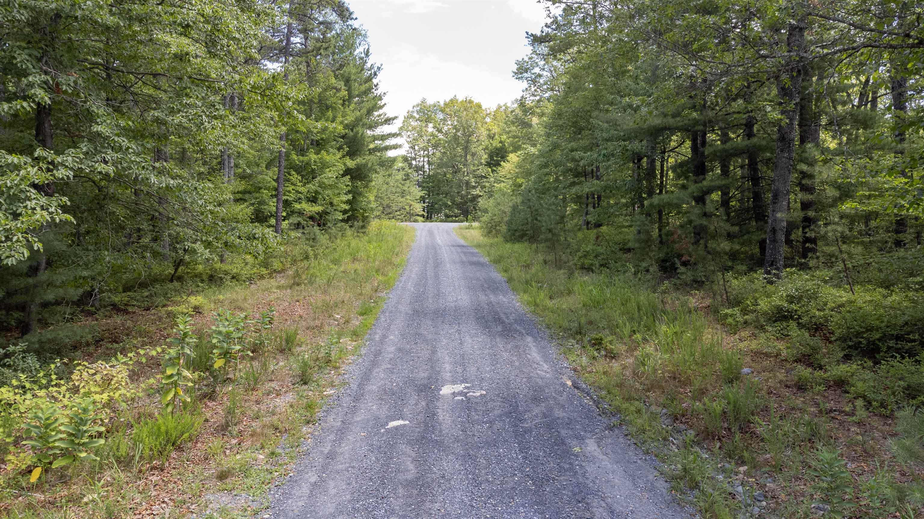 TBD BIRDS NEST RD