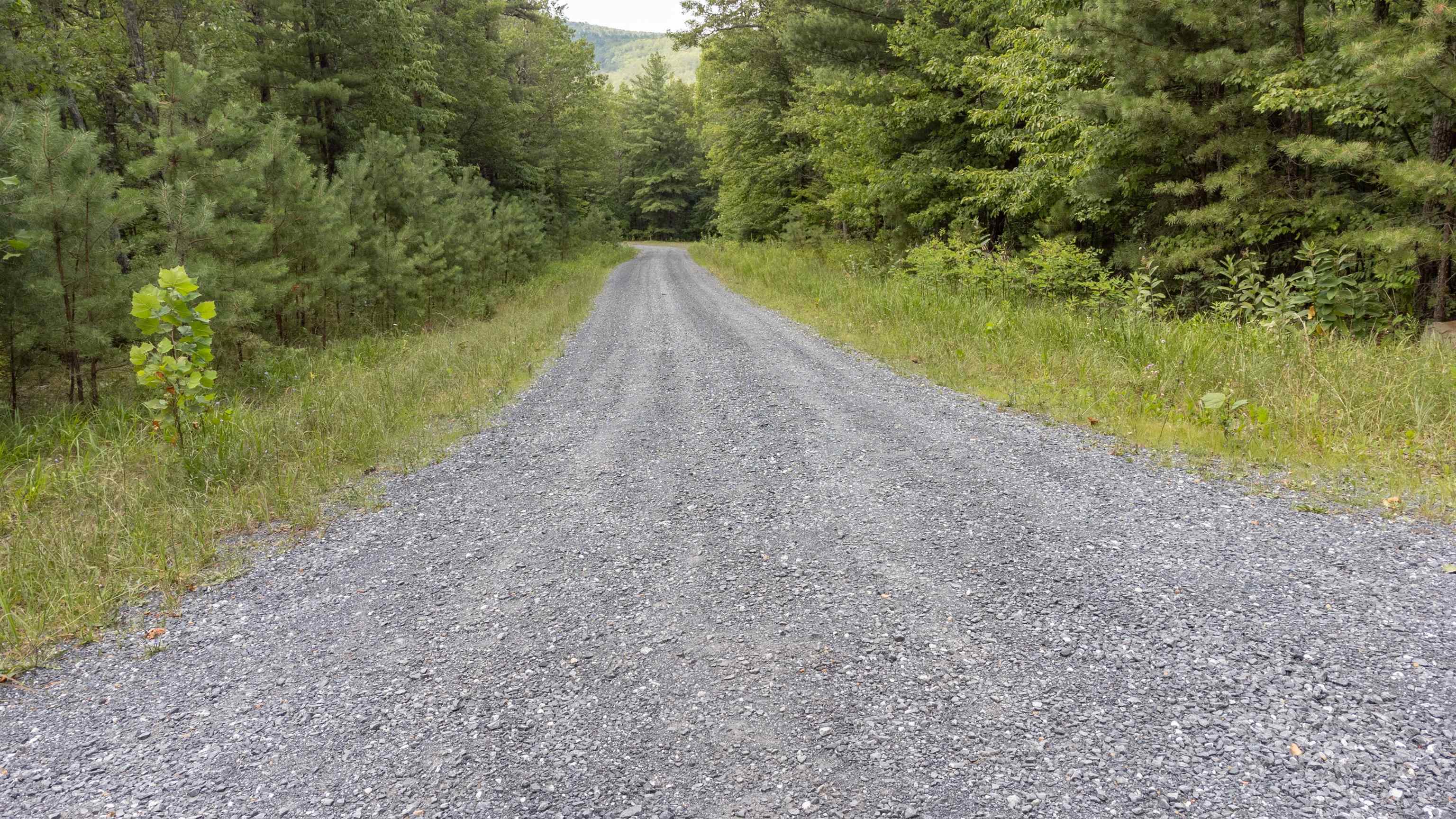 TBD BIRDS NEST RD