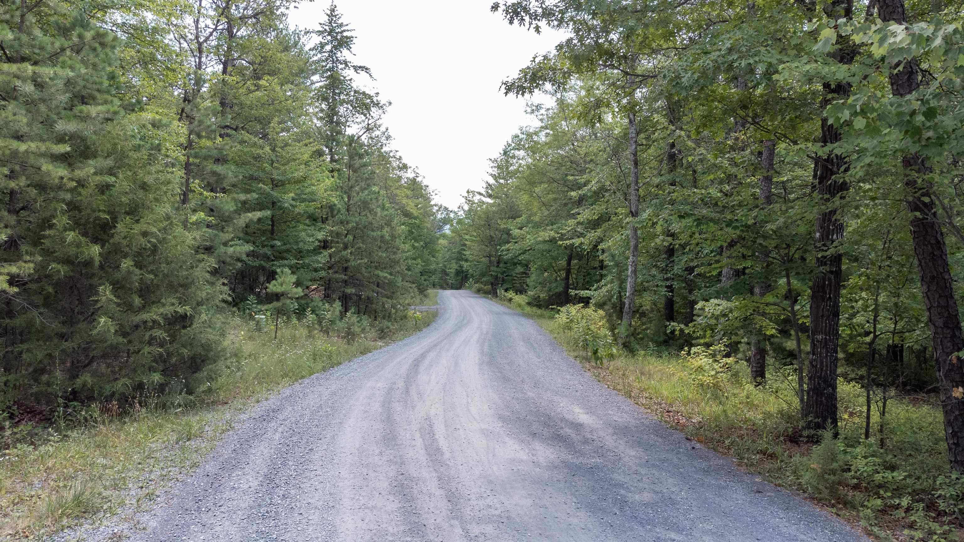 TBD BIRDS NEST RD