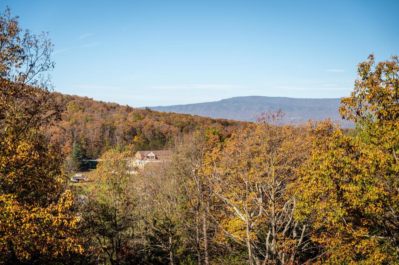 415 KNOB RD