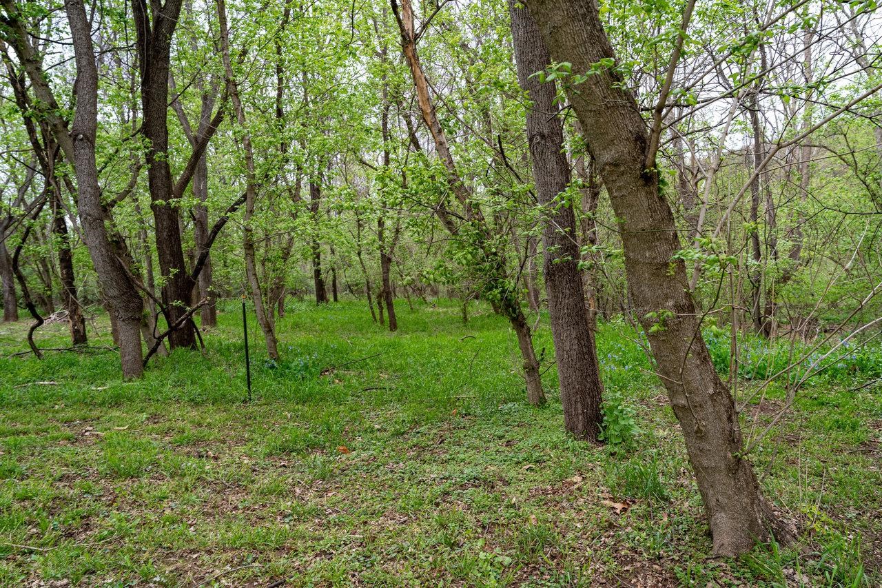 TBD RIVER VIEW RD