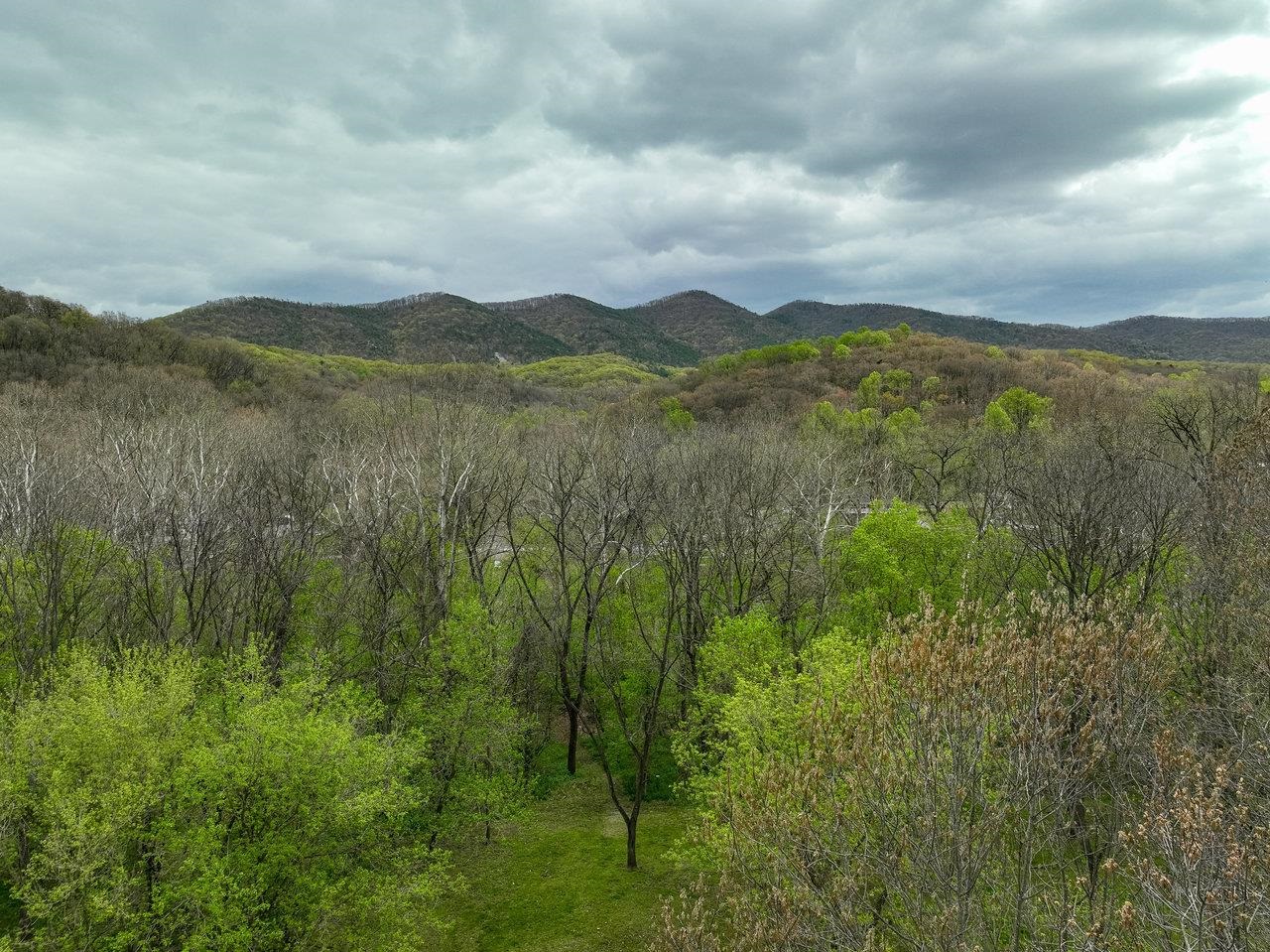 TBD RIVER VIEW RD