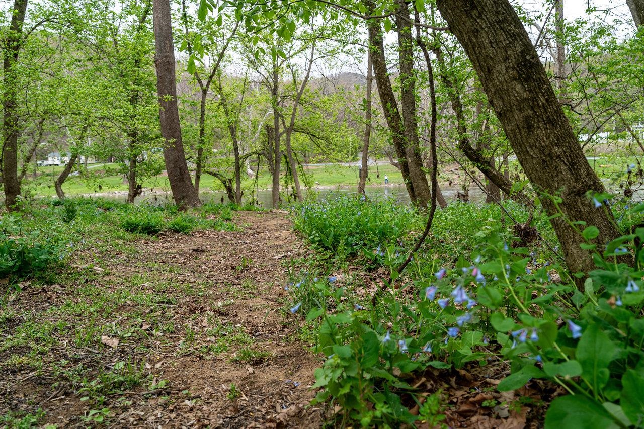 TBD RIVER VIEW RD