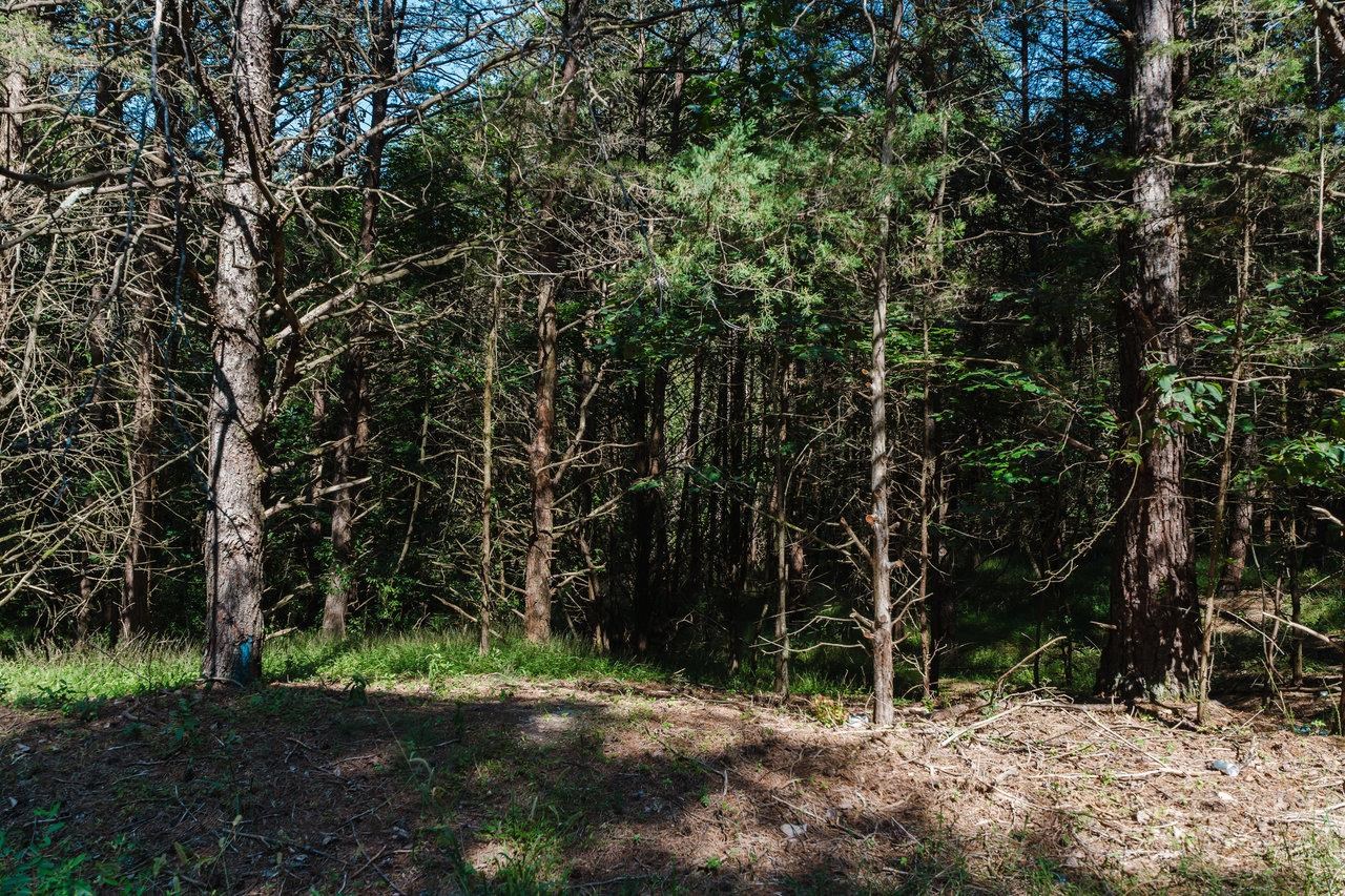 TBD RIVER VIEW RD