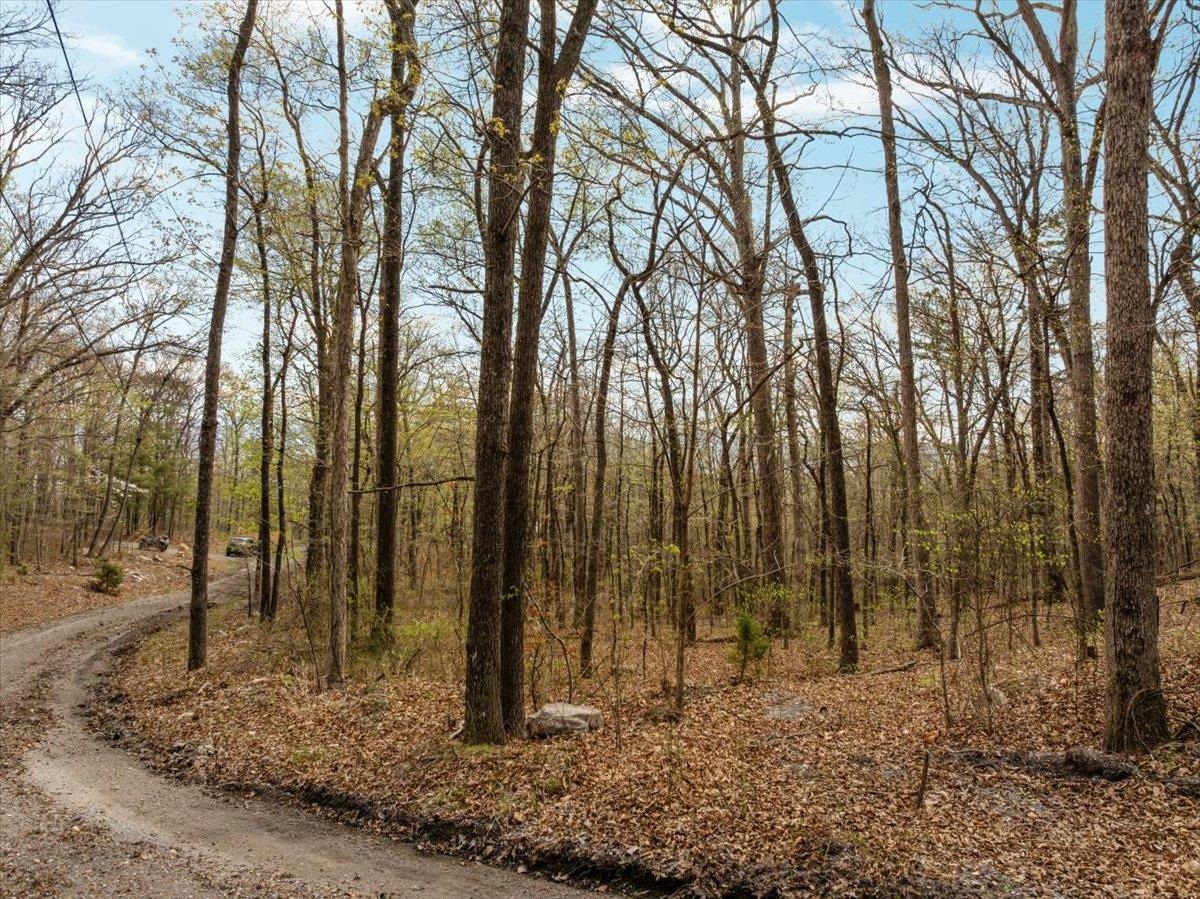 Lot 21 MOCKINGBIRD LN