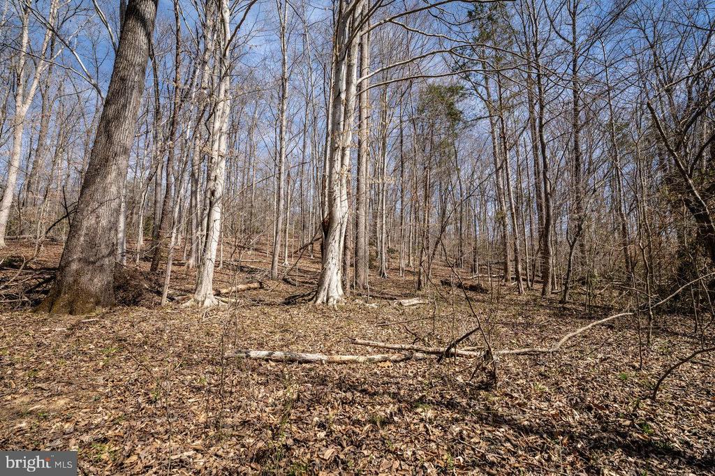 WARBONNET TRAIL