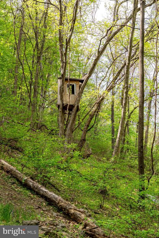 1 CUBBAGE HOLLOW ROAD