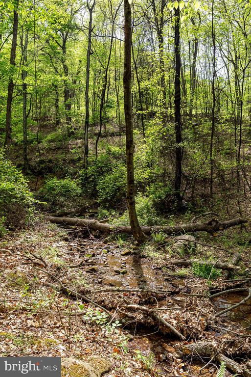 1797 CUBBAGE HOLLOW ROAD