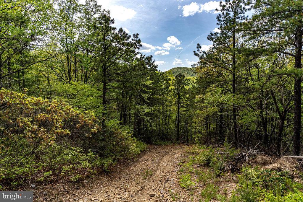 1797 CUBBAGE HOLLOW ROAD