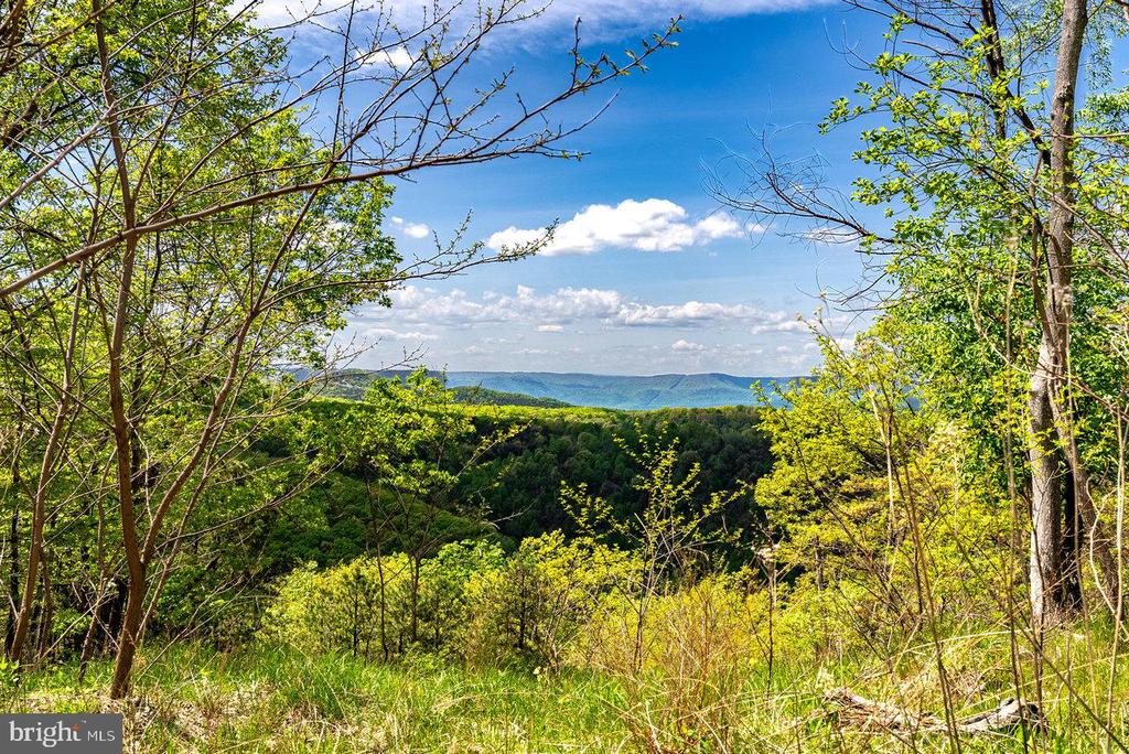 1797 CUBBAGE HOLLOW ROAD