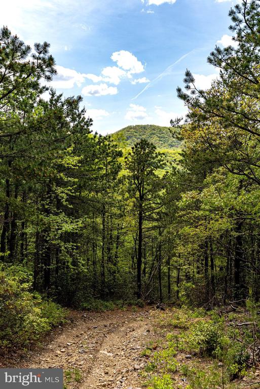 1797 CUBBAGE HOLLOW ROAD