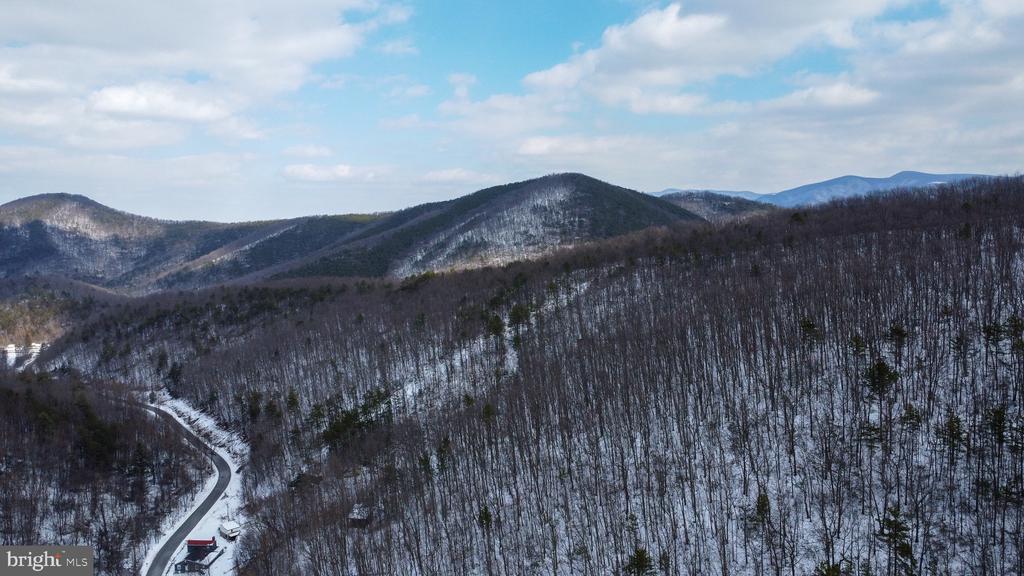 CUBBAGE HOLLOW RD, LOT 75 - 40.55 ACRES