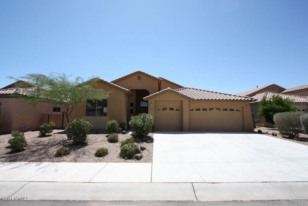 8144 N Fallen Petal Drive