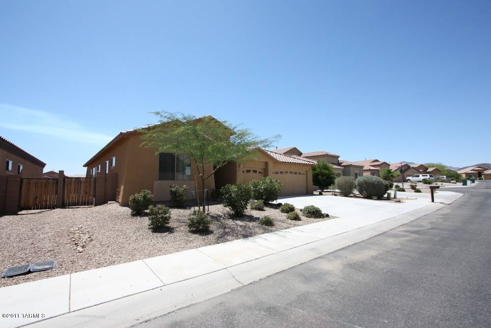 8144 N Fallen Petal Drive