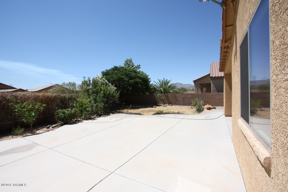 8144 N Fallen Petal Drive