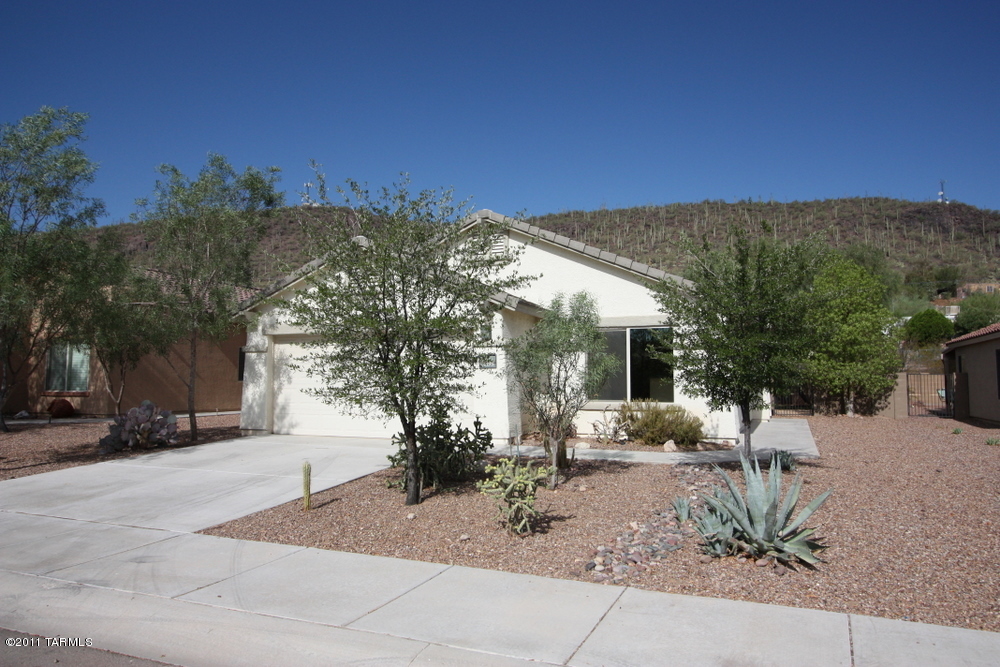 10195 N Onyx Moon Drive