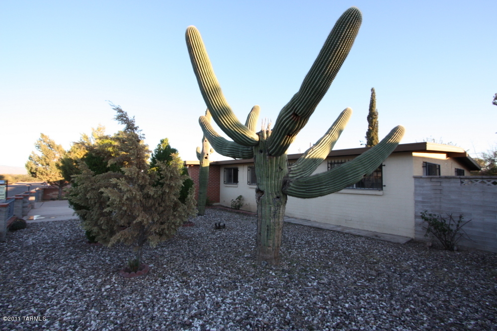 2571 W Capistrano Road