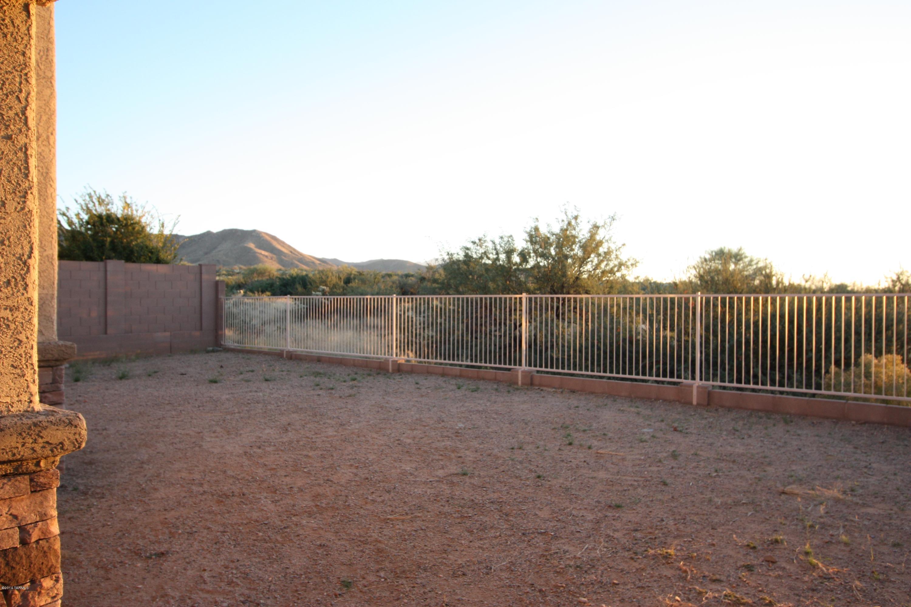 17228 S Painted Vistas Way