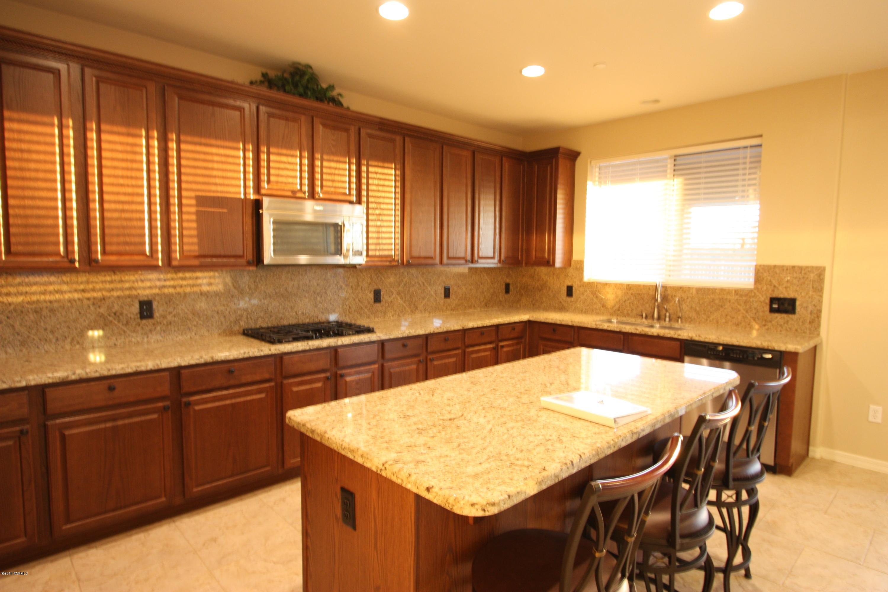 17228 S Painted Vistas Way