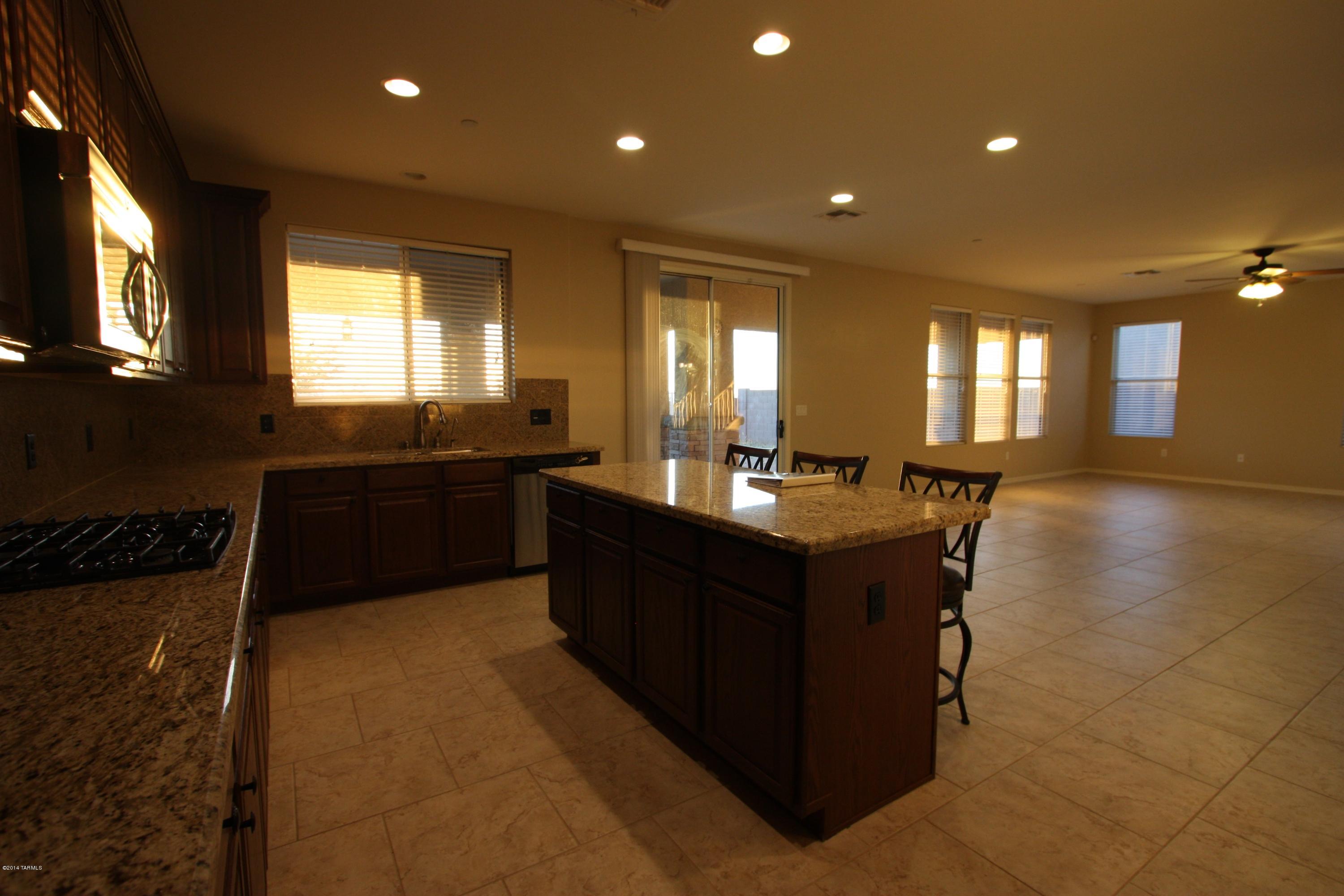 17228 S Painted Vistas Way