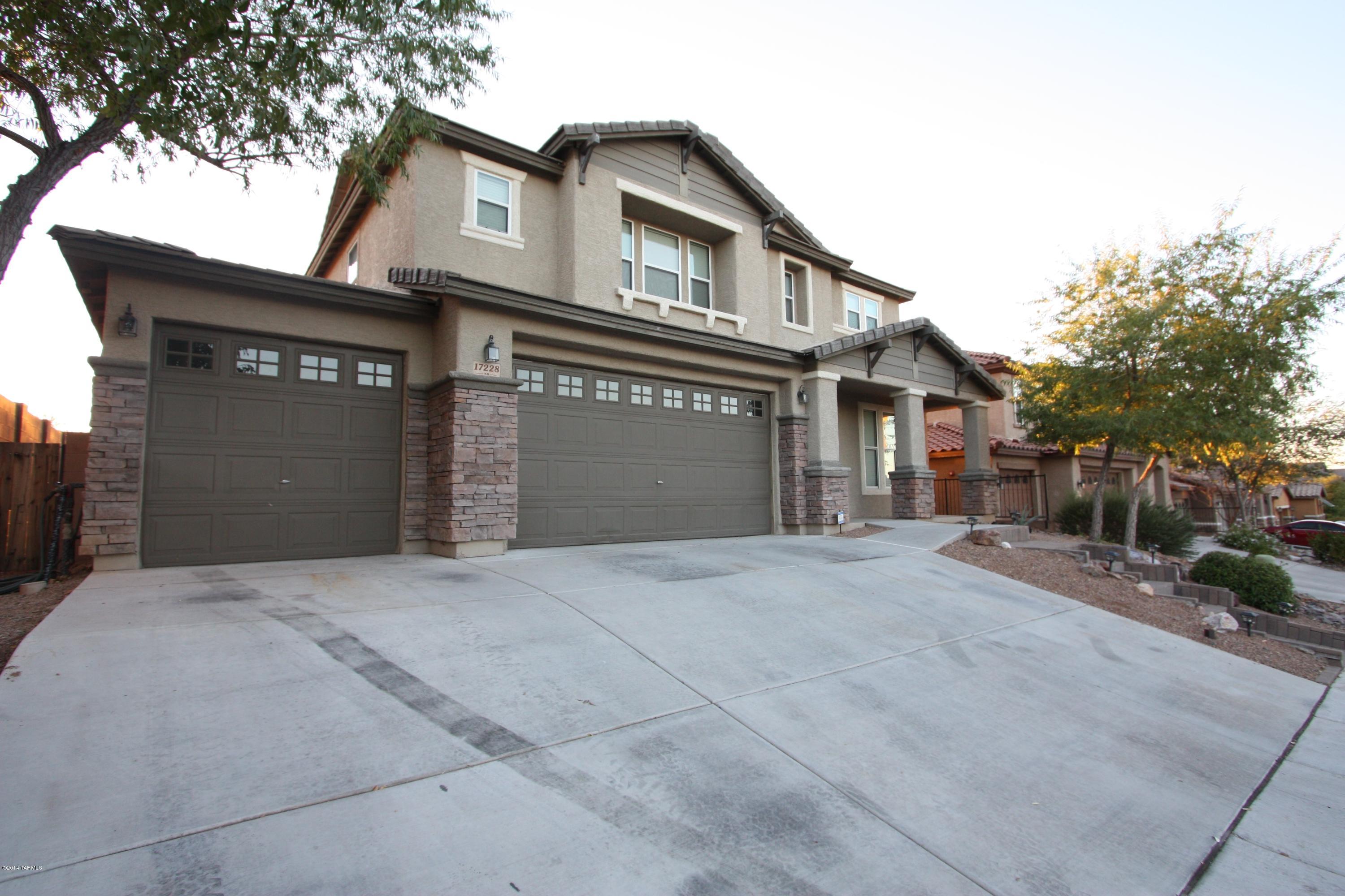 17228 S Painted Vistas Way