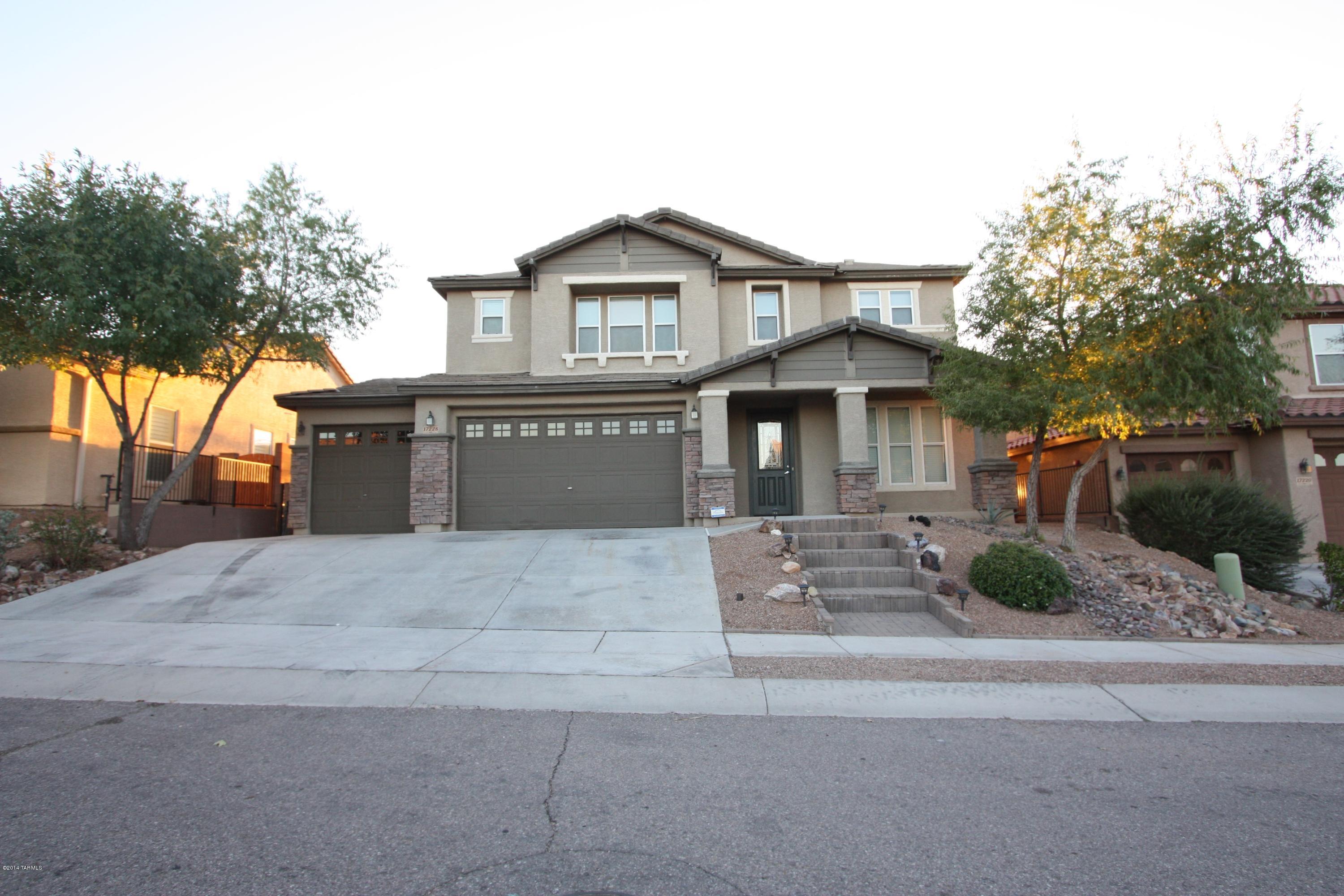 17228 S Painted Vistas Way