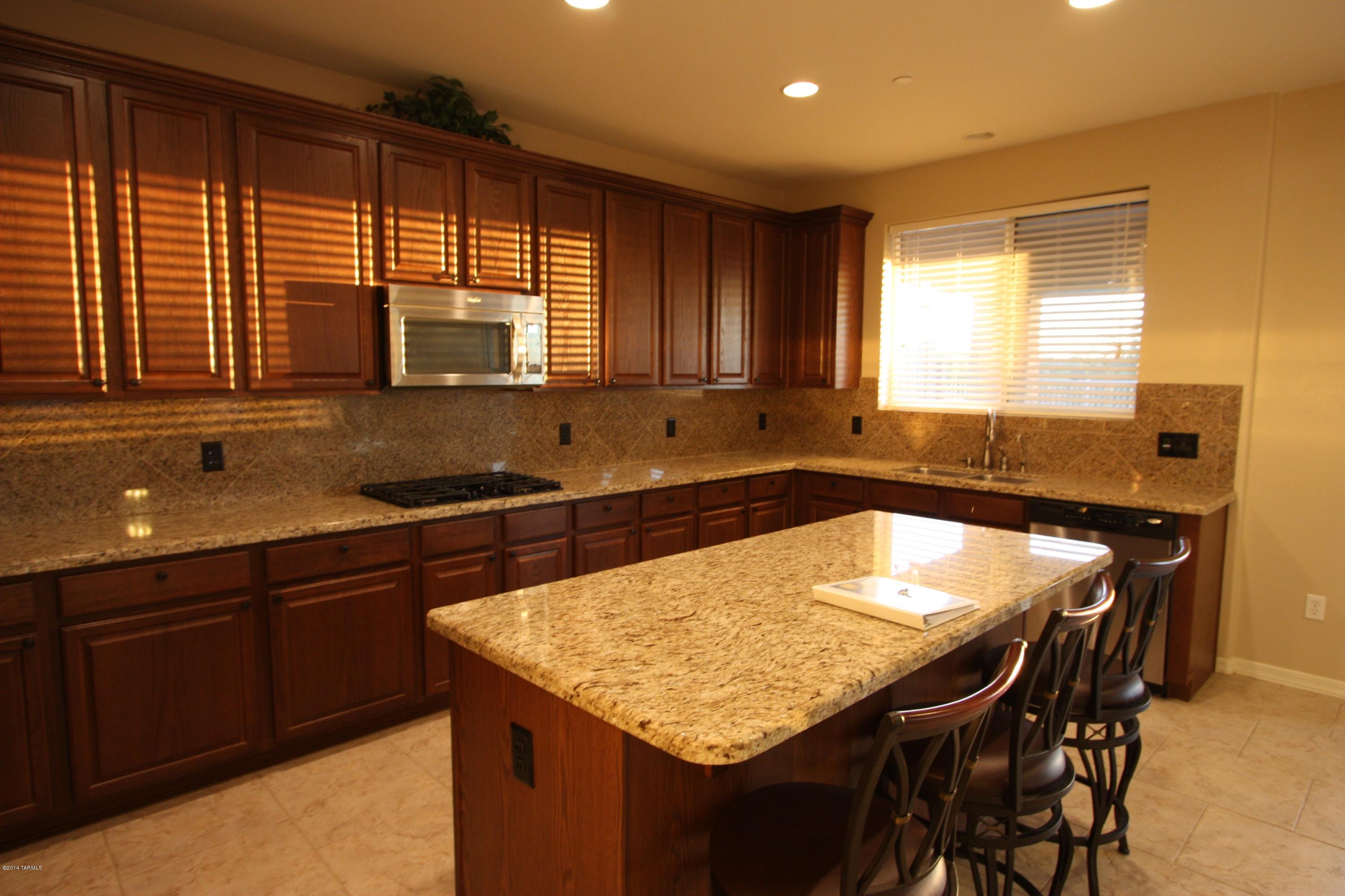 17228 S Painted Vistas Way