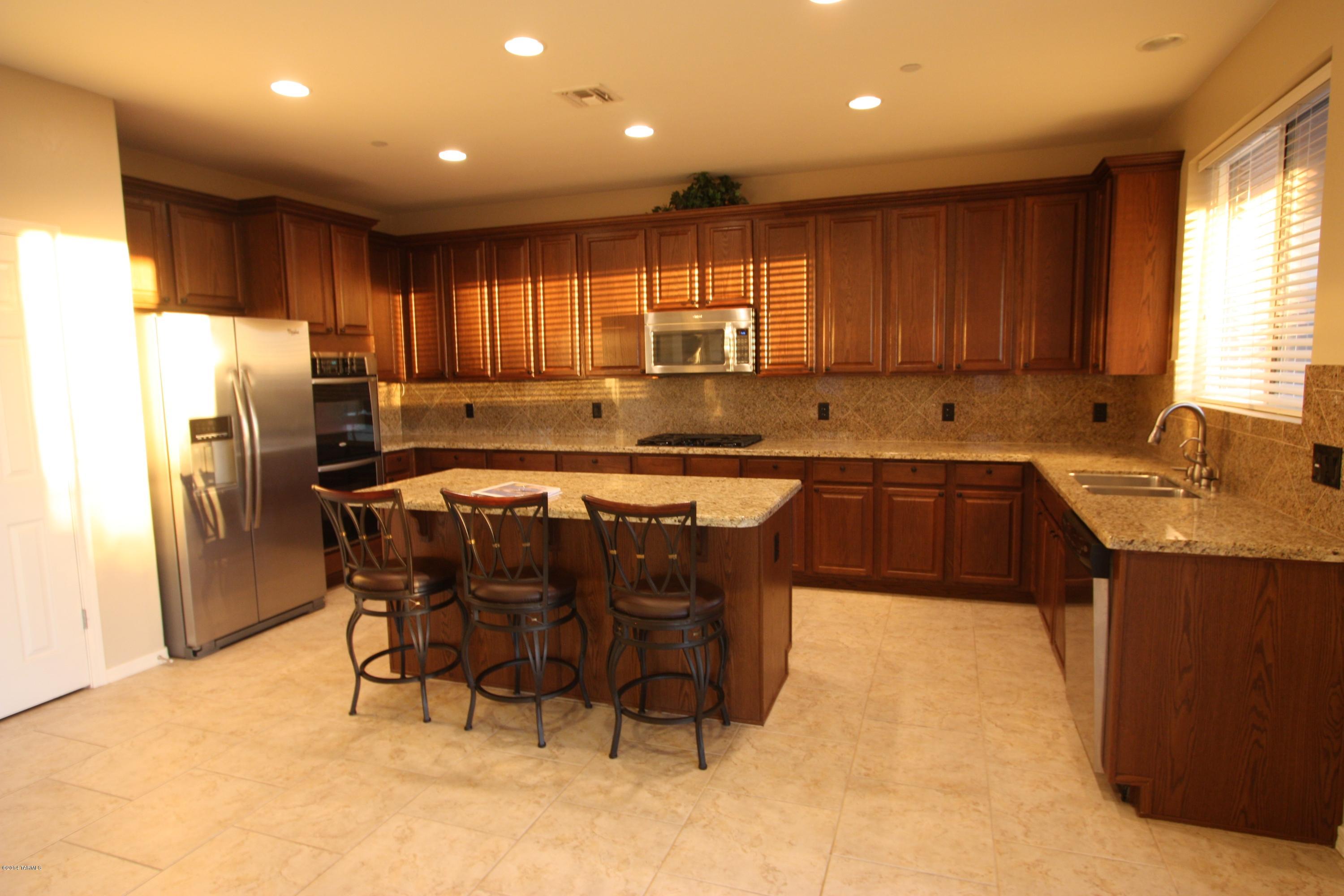 17228 S Painted Vistas Way
