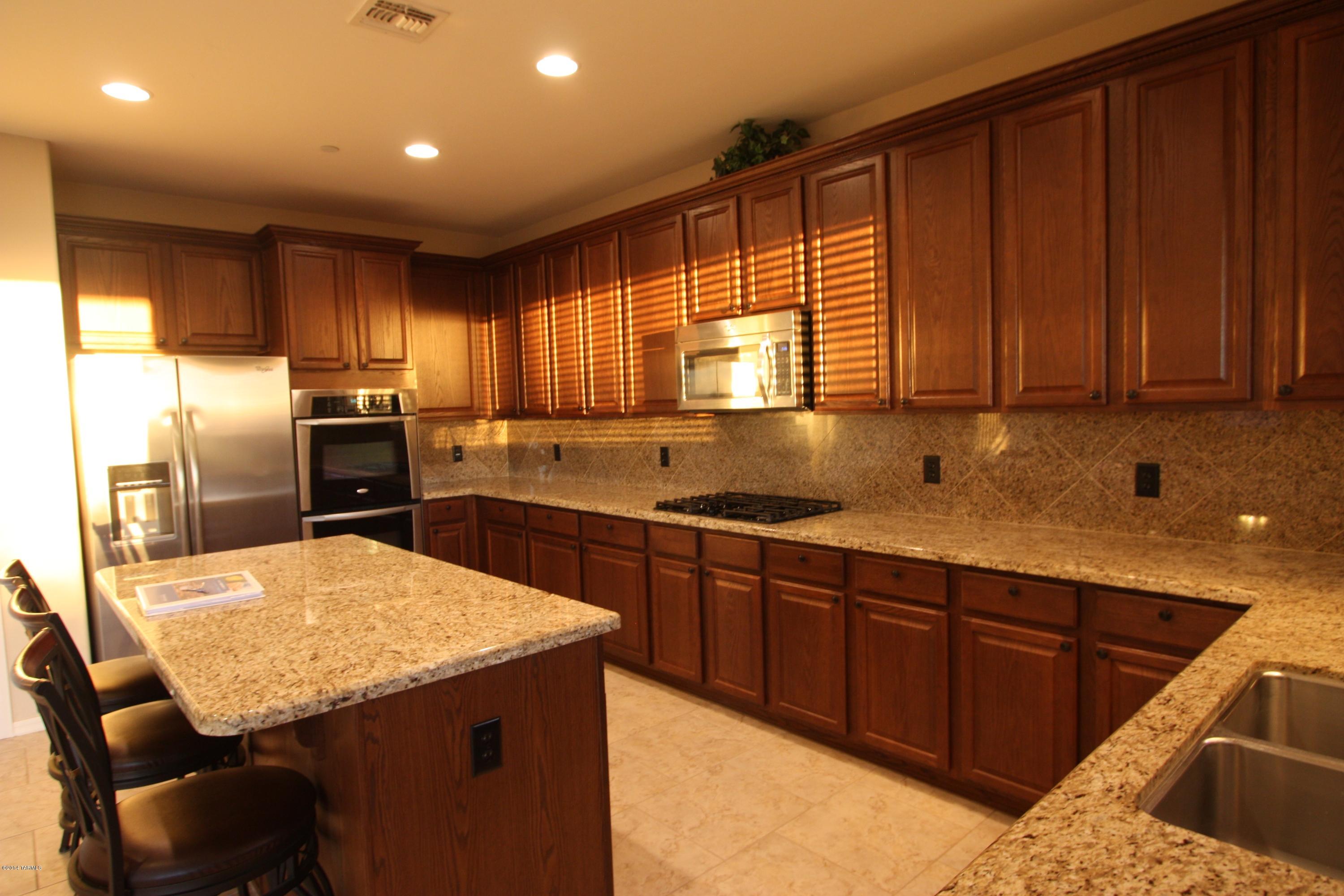 17228 S Painted Vistas Way